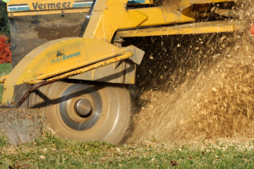 Stump Grinding